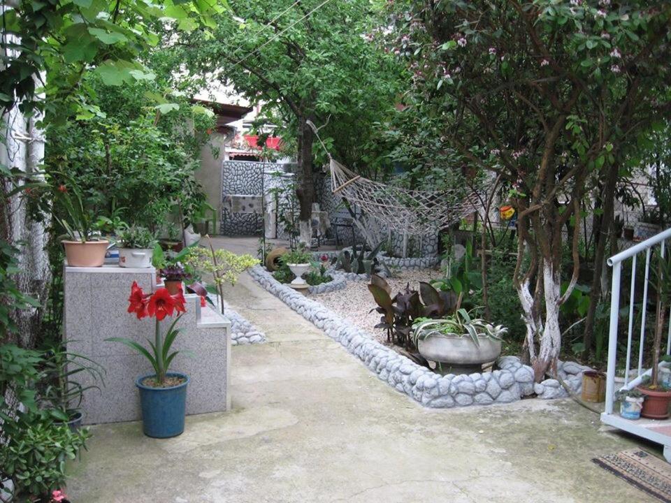 Hostel Temuri room 2
